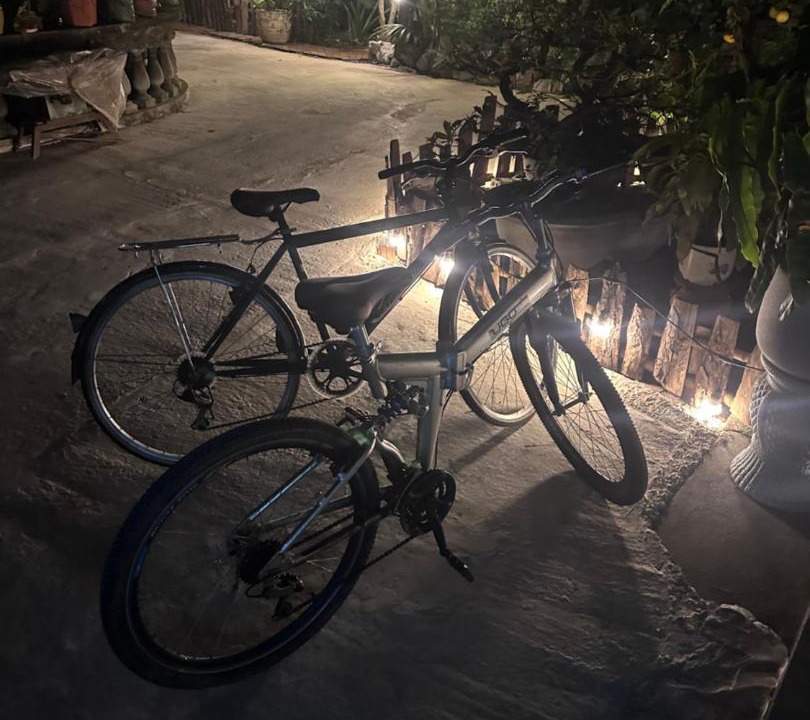 Photo of Outdoor in Ninh Binh