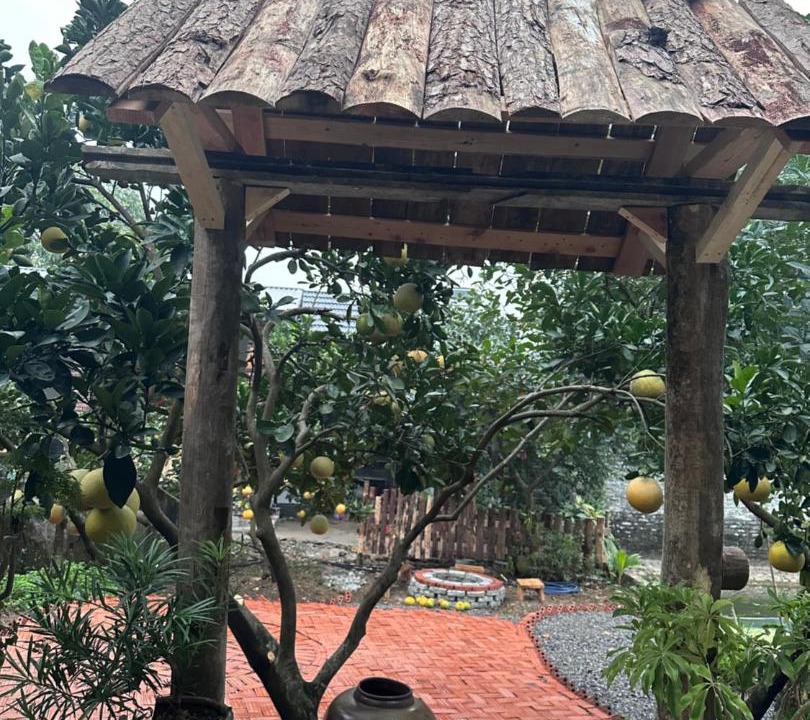 Photo of Outdoor in Ninh Binh