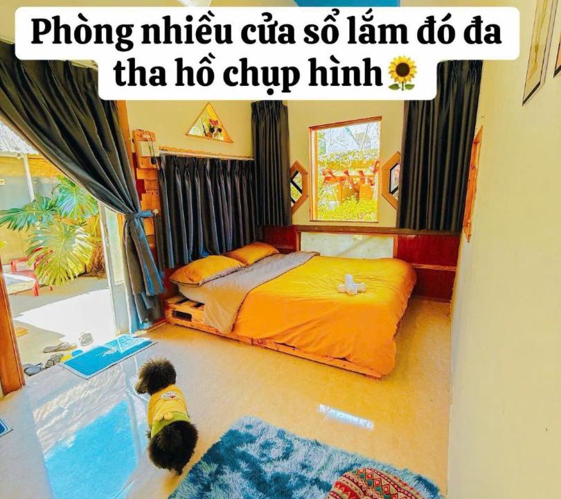 Photo of Others in Phuong