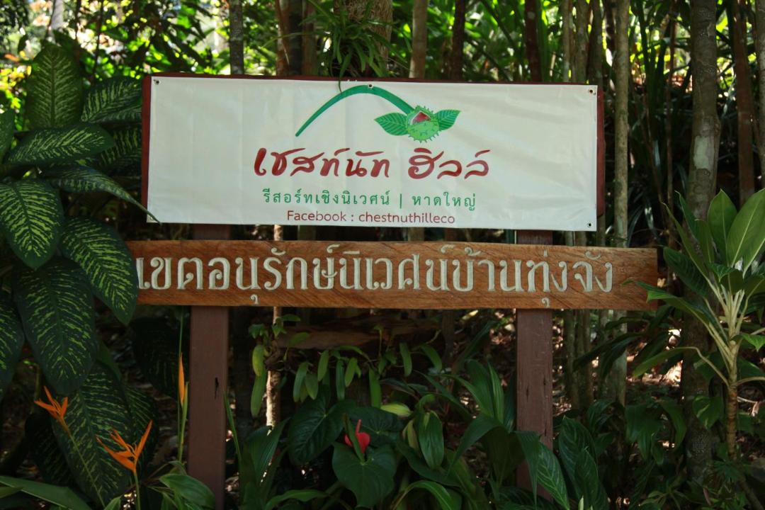 Photo of Others in Hat Yai