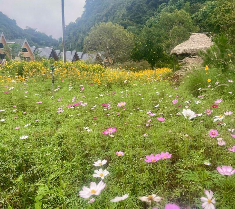 Photo of Others in Moc Chau