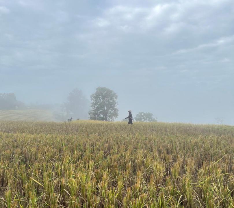 Photo of Others in Mae Chaem