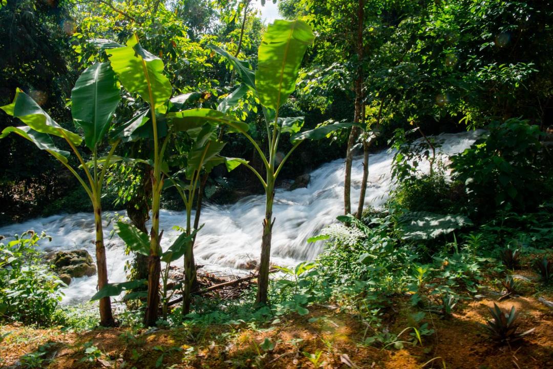 Photo of Others in Pu Long Nature Reserve