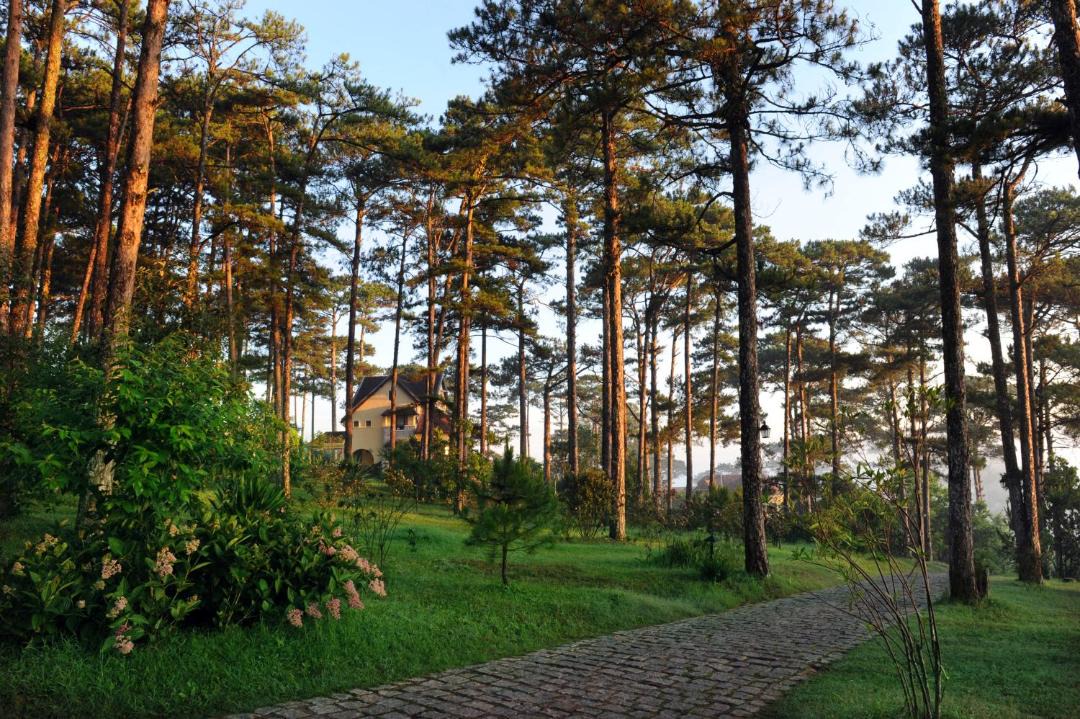 Photo of Others in Da Lat