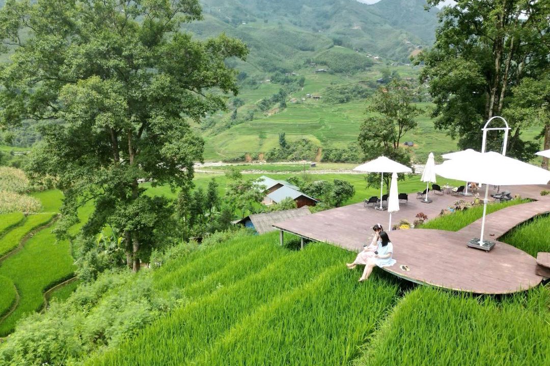 Photo of Others in Hau Thao