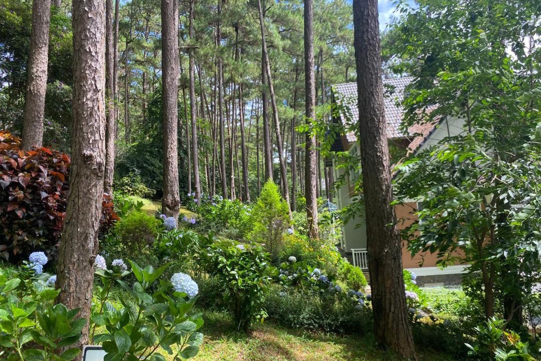 Photo of Others in Da Lat