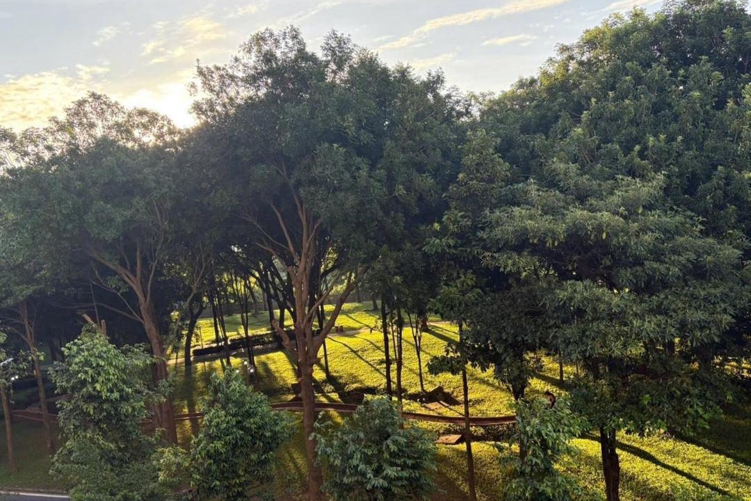 Photo of Others in Tan Phu District