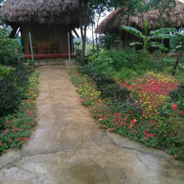 Photo of Others in Cuc Phuong