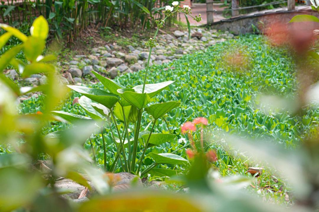 Photo of Others in Long Thanh