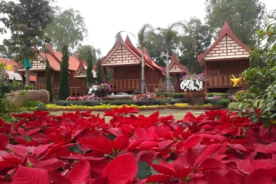 Photo of Others in Sila