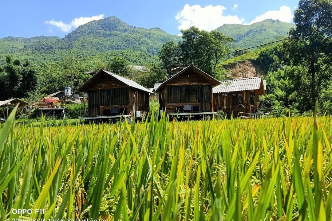 Photo of Others in Sa Pa