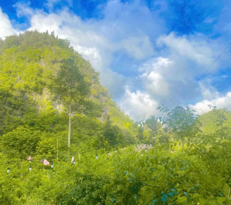 Photo of Others in Bac Ha