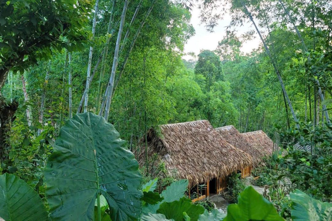 Photo of Others in Pu Long Nature Reserve