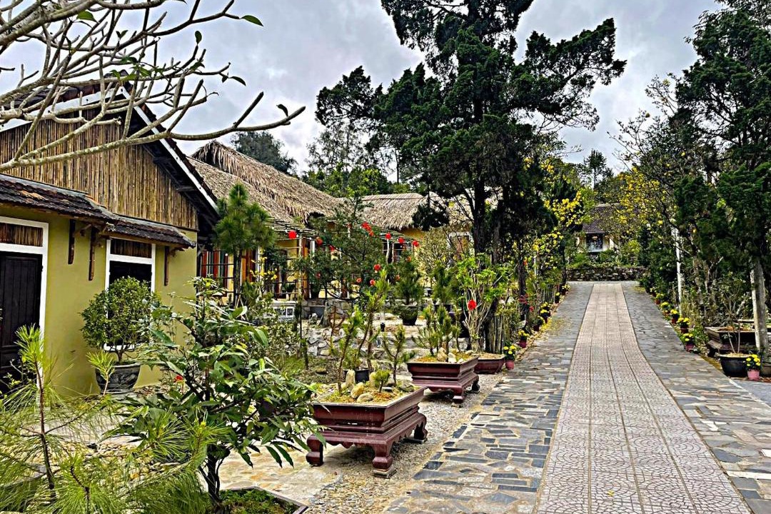 Photo of Others in Thuy Xuan
