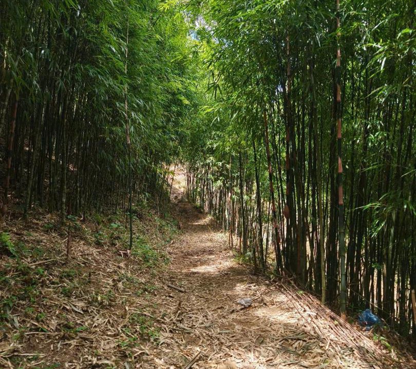 Photo of Outdoor in Hau Thao