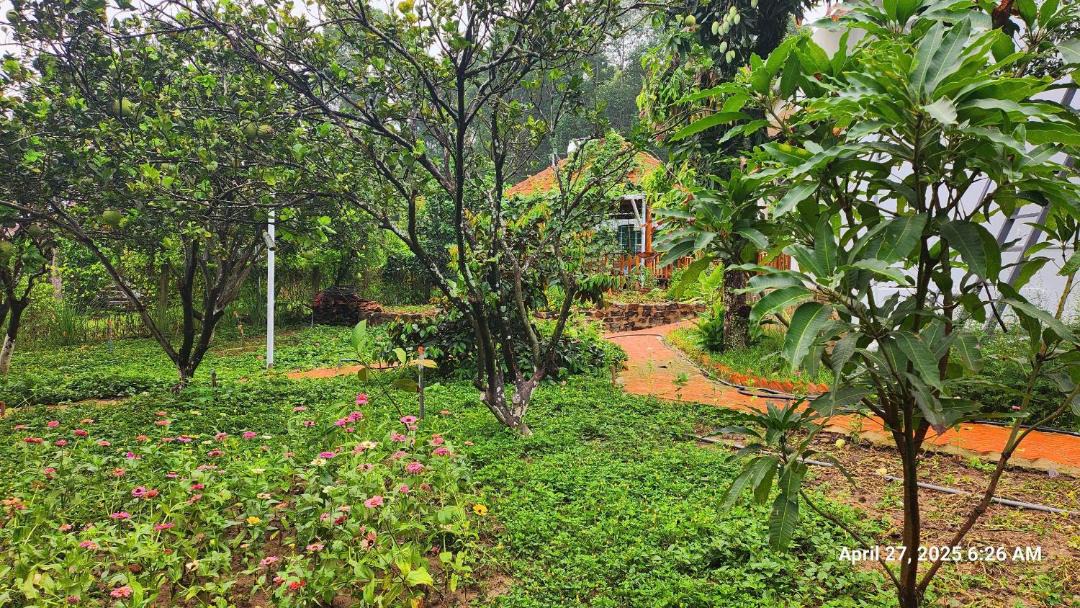 Photo of Outdoor in Quan Tom