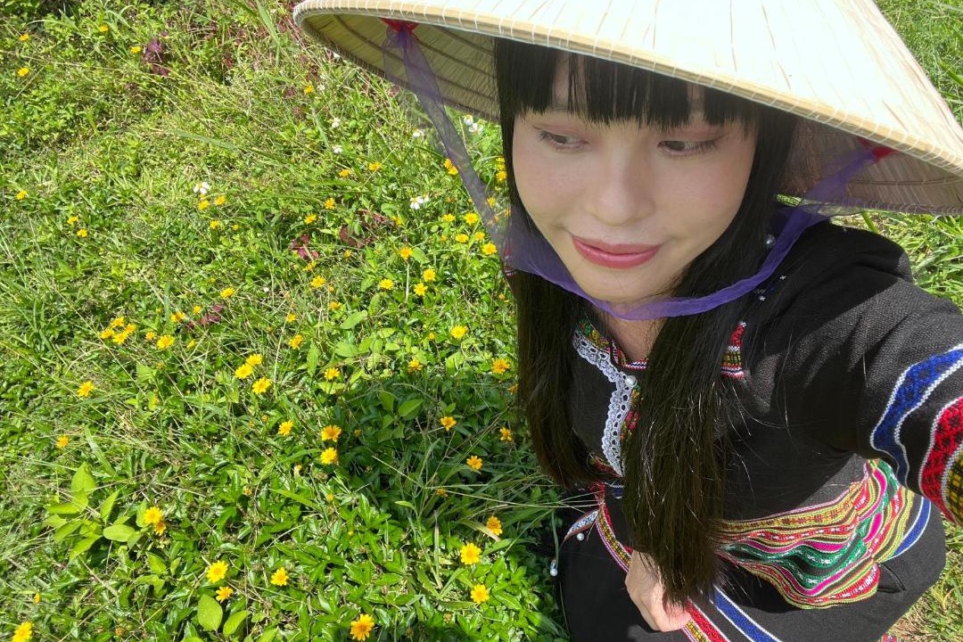 Photo of Others in Bao Lam