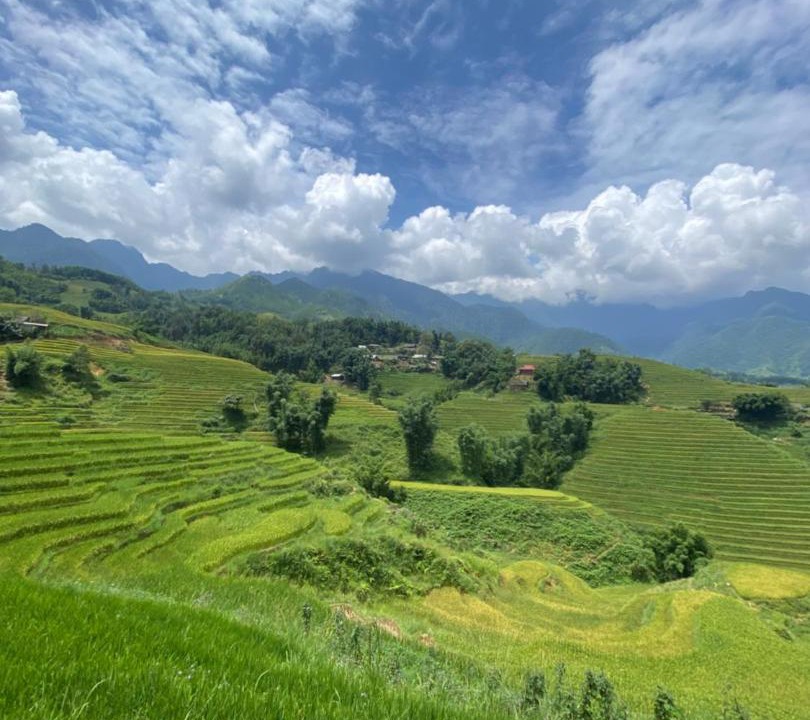 Photo of Others in Hau Thao