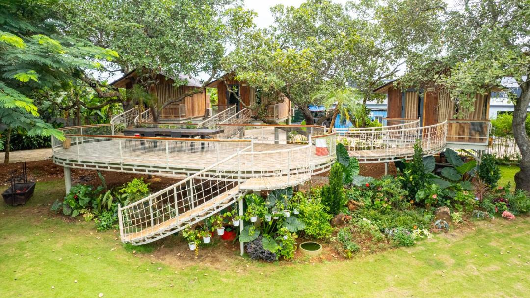 Photo of Others in Hoa Long