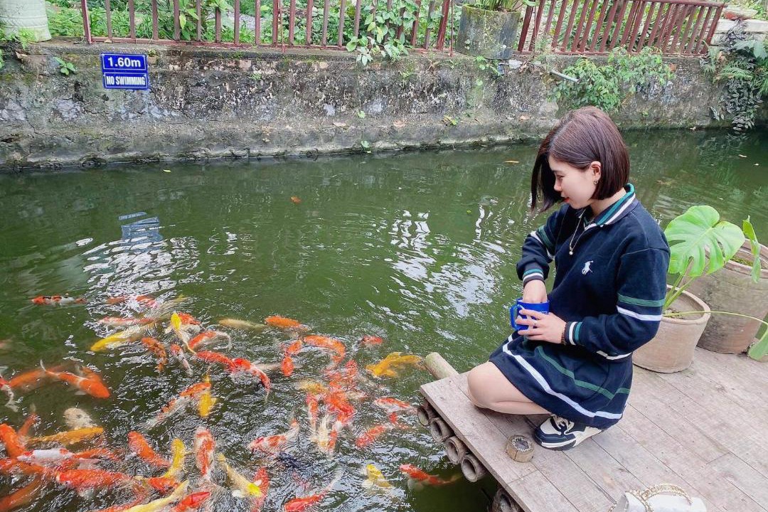 Photo of Others in Hoa Lu