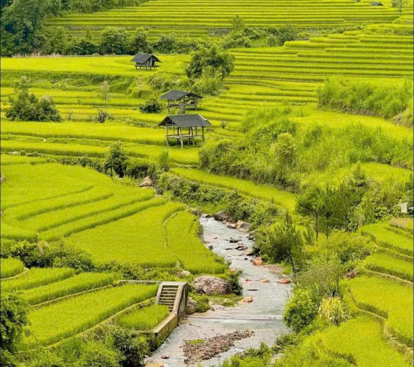 Photo of Others in Mu Cang Chai