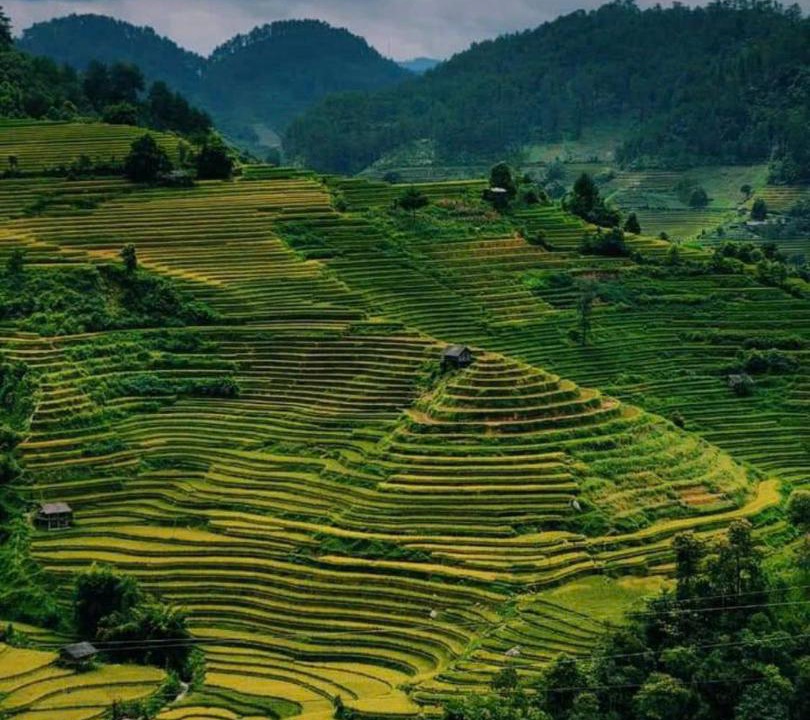 Photo of Others in Mu Cang Chai