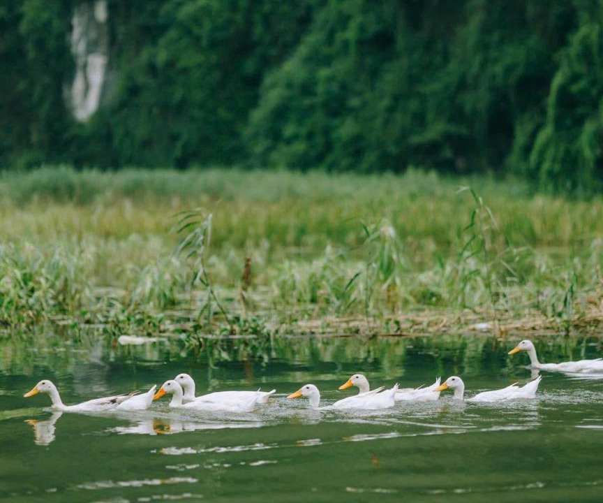 Photo of Others in Hoa Lu