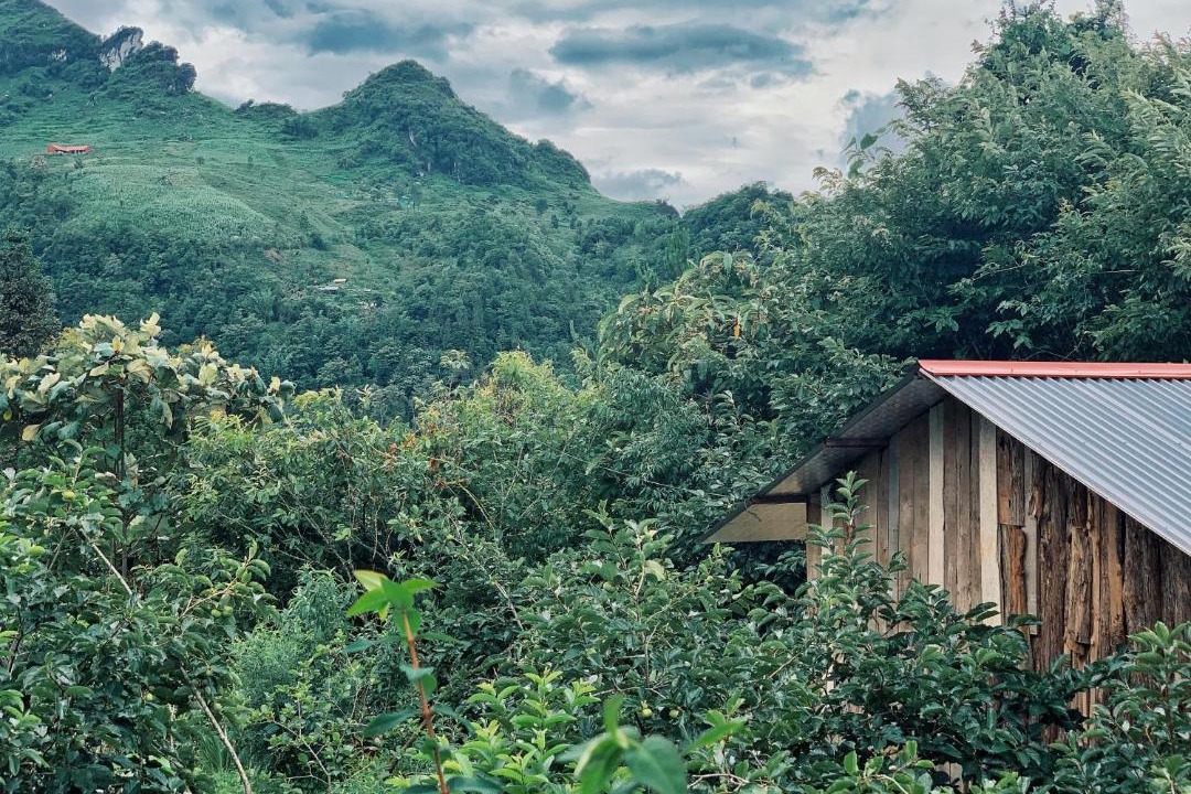 Photo of Others in Cha Pai