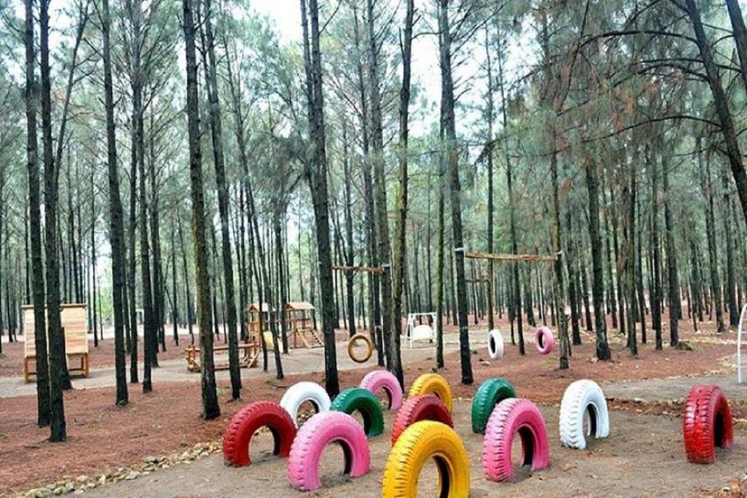 Photo of Others in Ngoc Quang