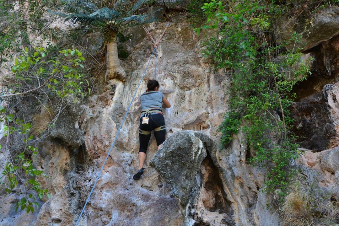 Photo of Others in Krabi