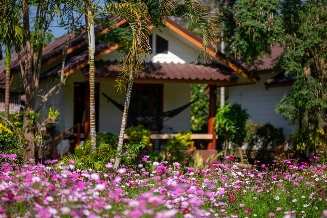 Photo of Others in Pai