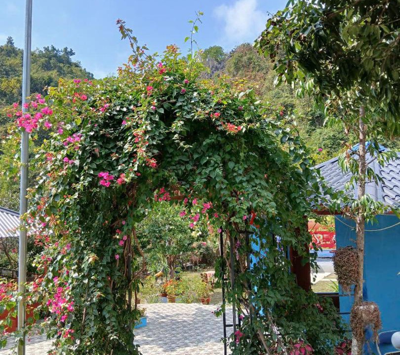 Photo of Outdoor in Tran Chau