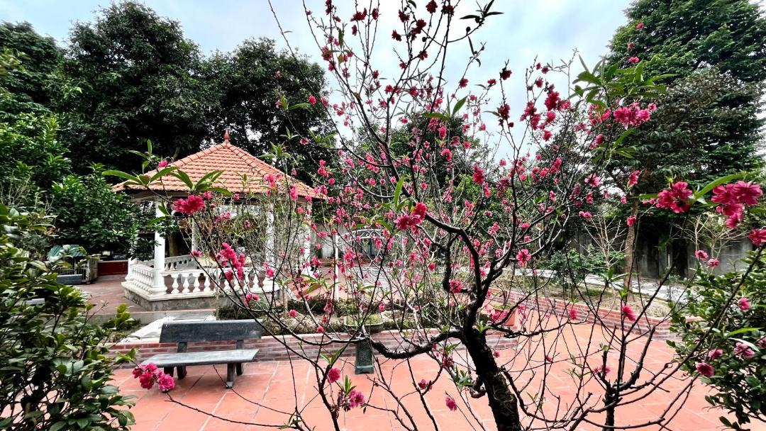 Photo of Others in Vinh Yen