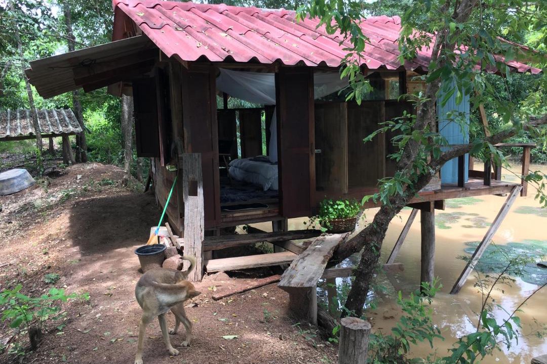 Photo of Others in Chiang Kham