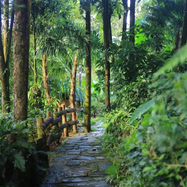 Photo of Others in Cha Pai
