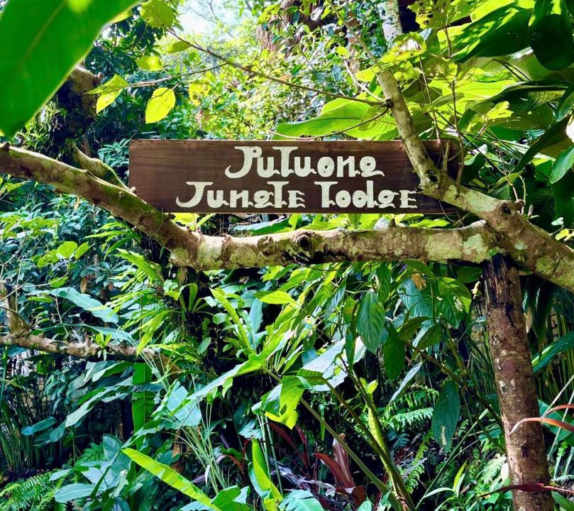 Photo of Others in Pu Long Nature Reserve