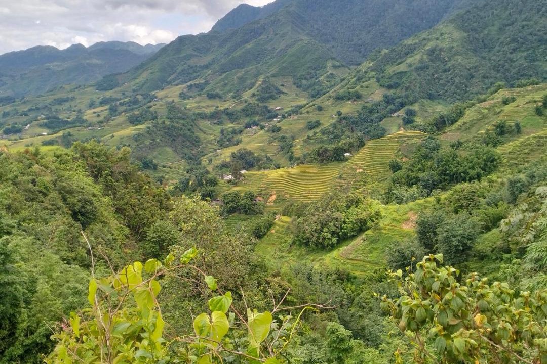 Photo of Others in Sa Pa