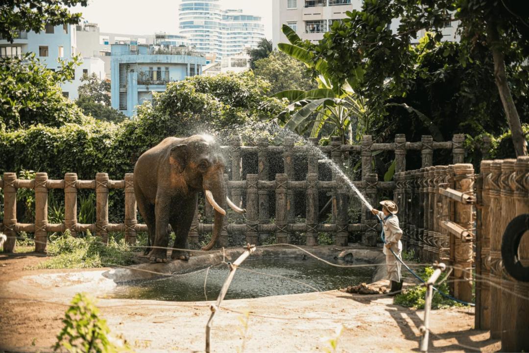 Photo of Others in Hang Xanh