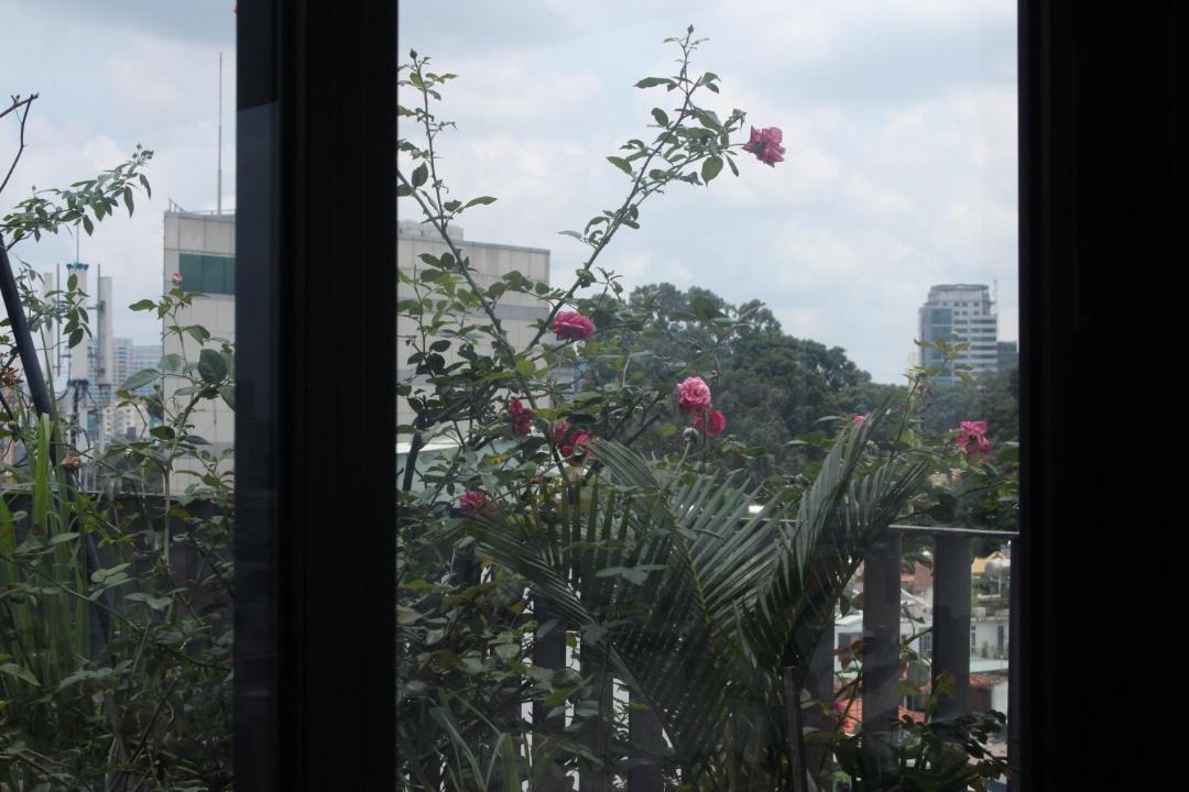 Photo of Others in Hang Xanh