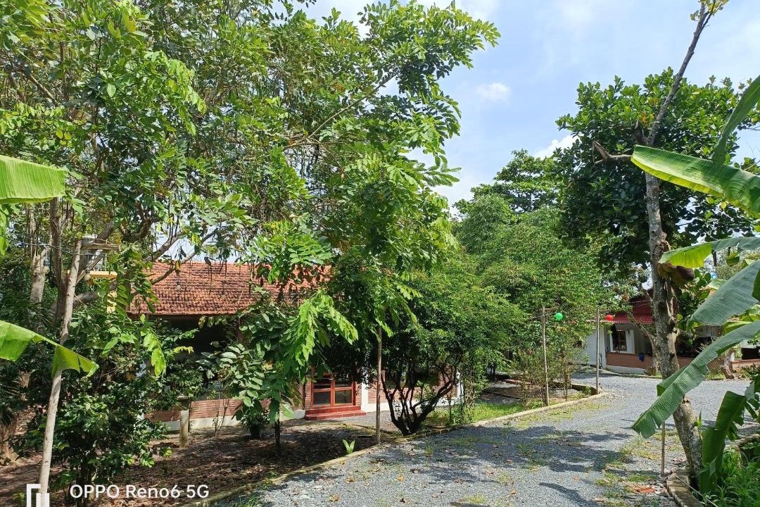 Photo of Others in Cu Chi