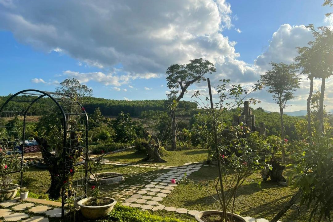 Photo of Others in Son Hoa