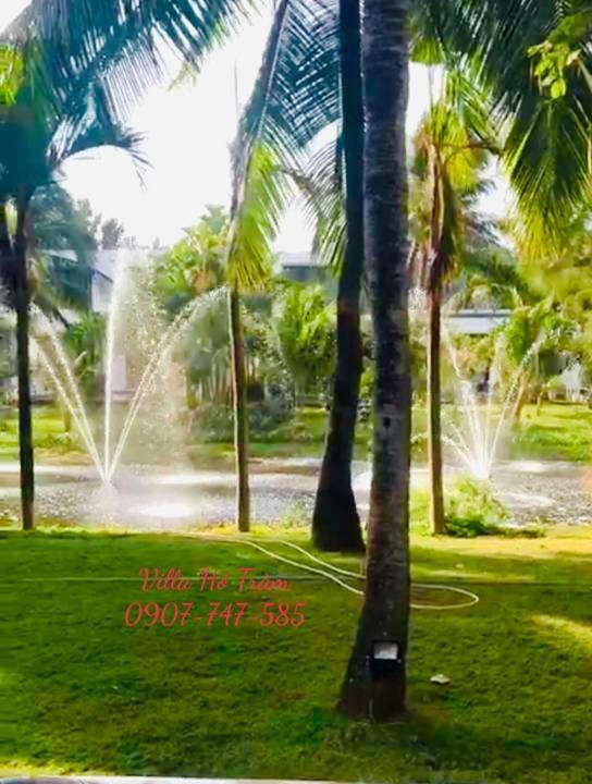 Photo of Others in Phuoc Thuan