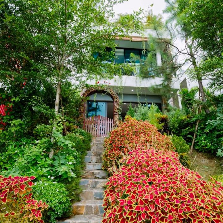 Photo of Others in Ngoc Thanh