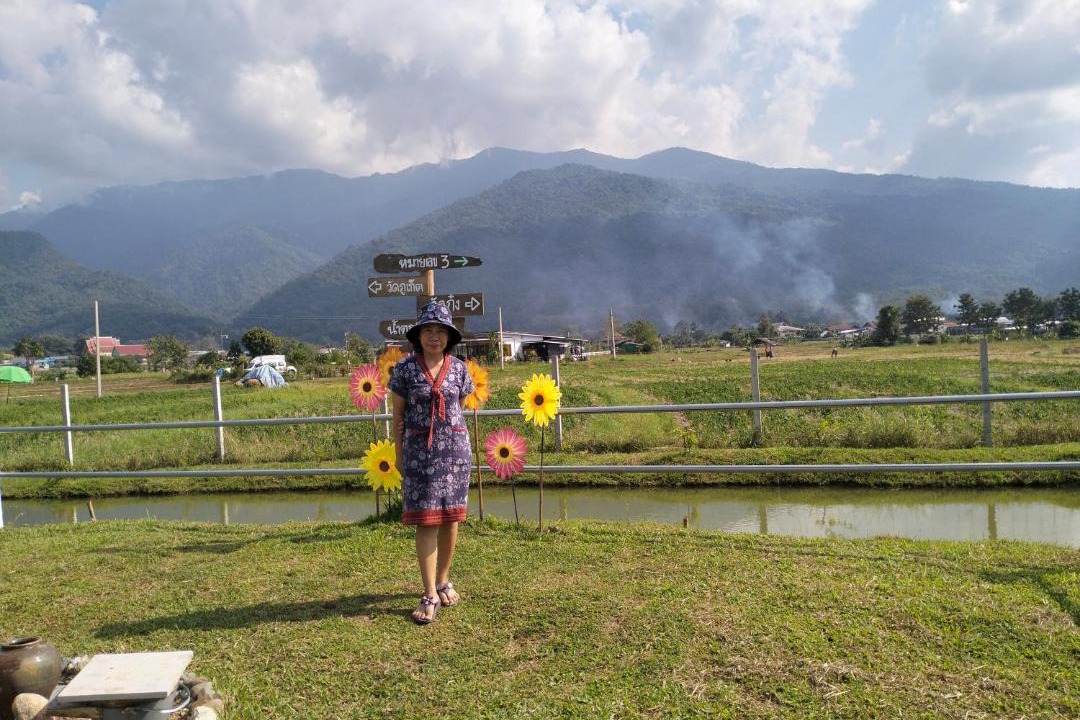 Photo of Others in Pua