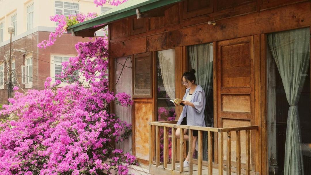 Photo of Buildings in Da Lat