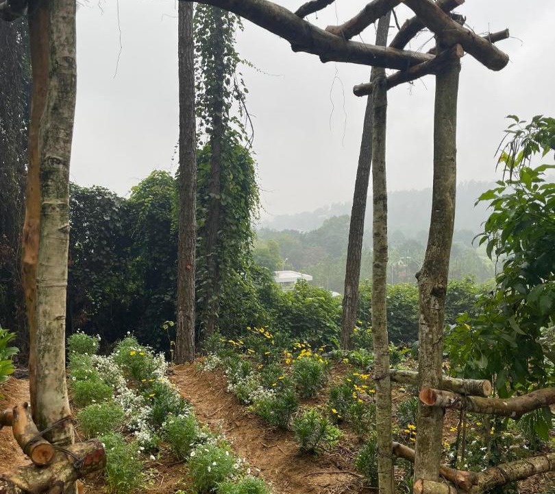 Photo of Others in Tam Dao