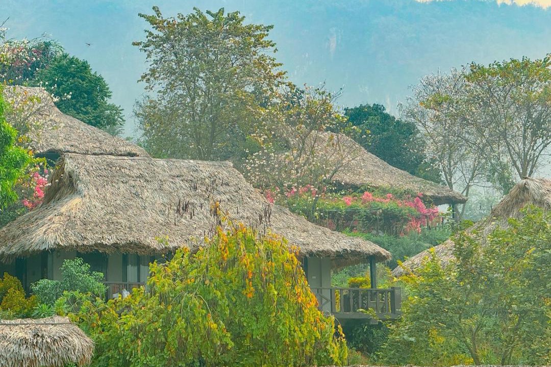 Photo of Others in Mai Chau