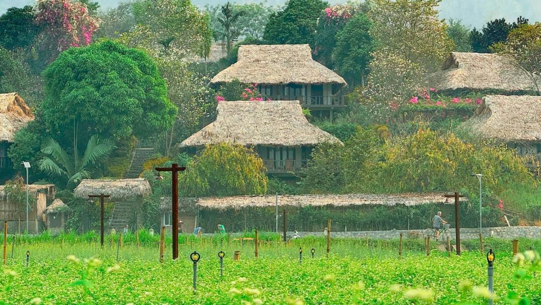 Photo of Others in Mai Chau