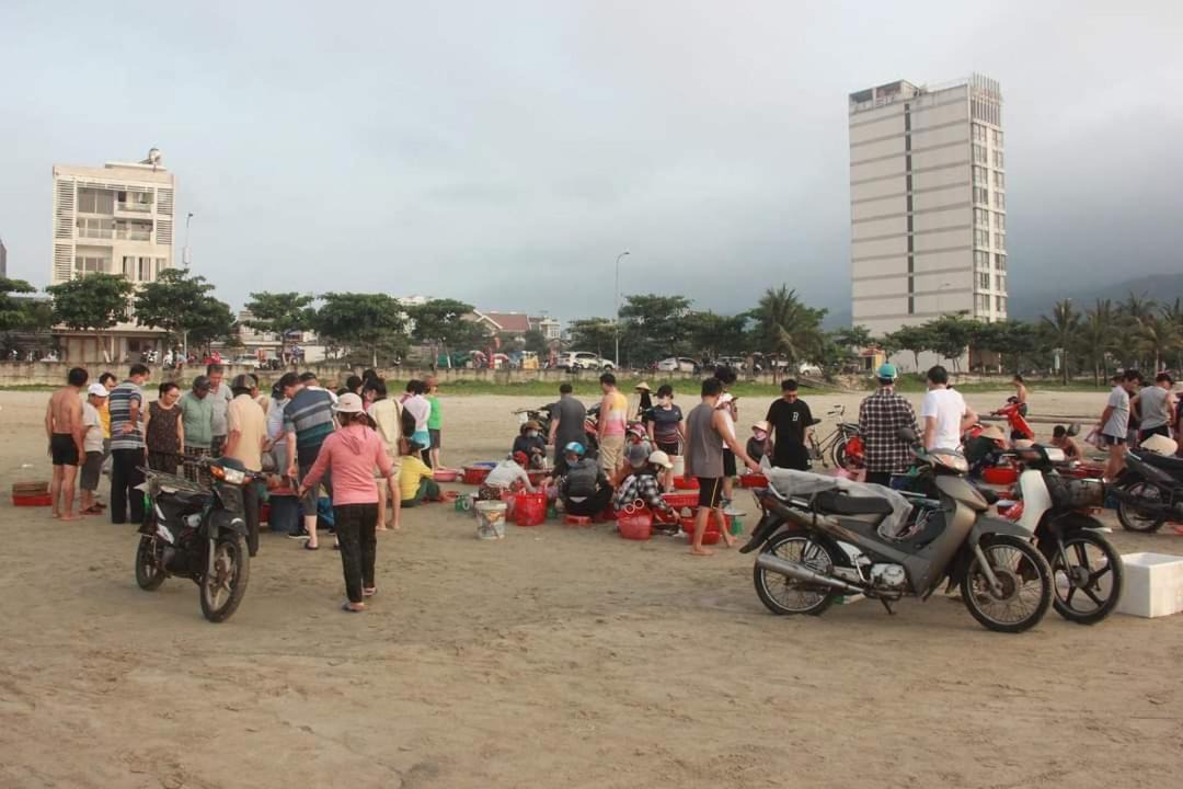 Photo of Others in Tho Quang Beach