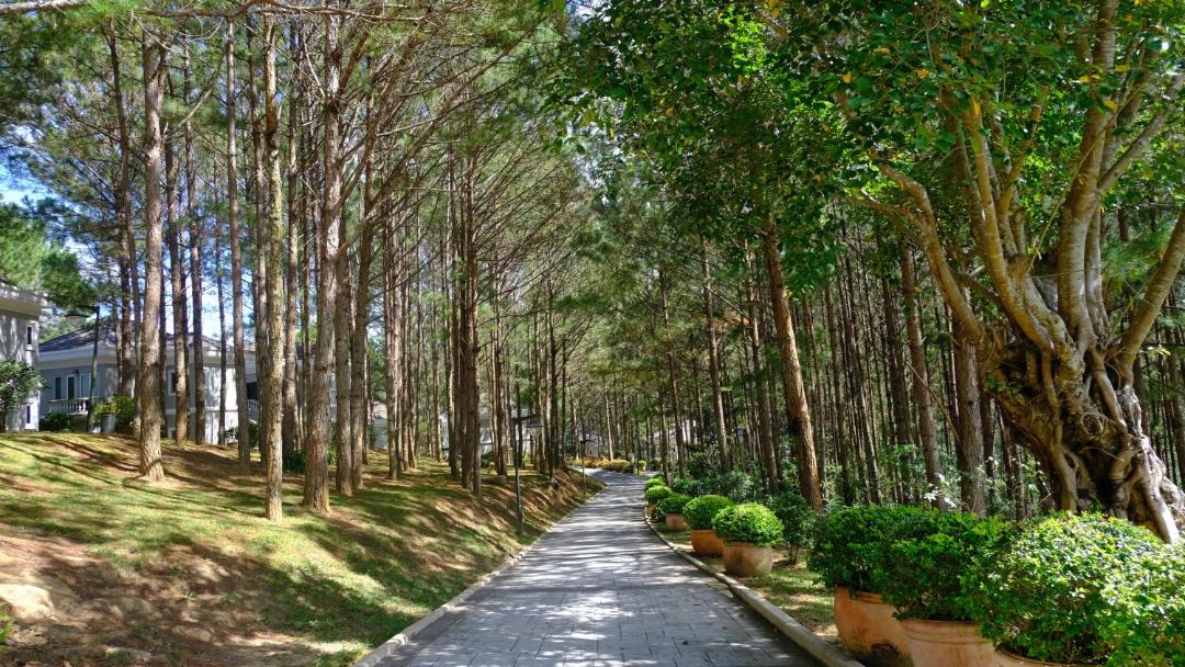 Photo of Others in Da Lat